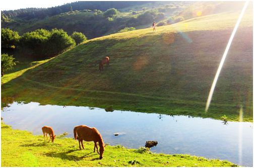 HVBF{`_[EEZ%I4TJXB`2)7P.jpg HVBF{`_[EEZ%I4TJXB`2)7P.jpg