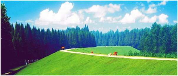 9V$B8T5WQD81LWG0E4(5HUP.jpg 9V$B8T5WQD81LWG0E4(5HUP.jpg