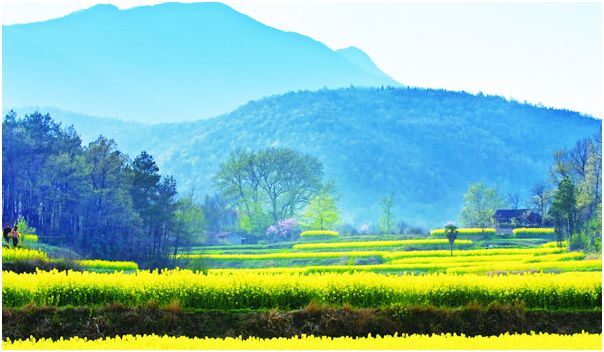 D6A(GTS[FS3C1%D[FR_K_MS.jpg D6A(GTS[FS3C1%D[FR_K_MS.jpg