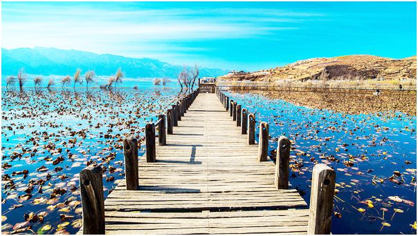 E51QH0MCU(Y4(EB1GDEMYRL.jpg E51QH0MCU(Y4(EB1GDEMYRL.jpg